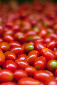 很多新鲜的红樱桃番茄。选择性的焦点。美味健康生食背景。在曼谷，泰国蔬菜市场