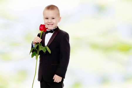 小男孩与一朵玫瑰花