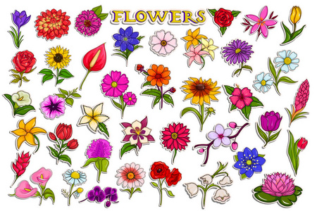 五颜六色的鲜花的不干胶标签集合