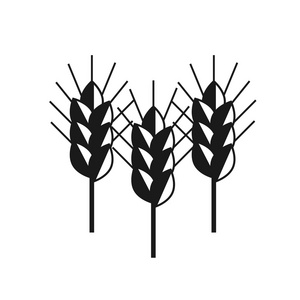 穗小麦矢量黑色图标集