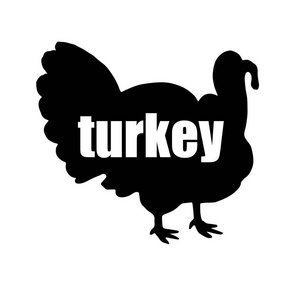 土耳其 鸟 感恩节 矢量 插画 假日 动物 庆祝 家禽