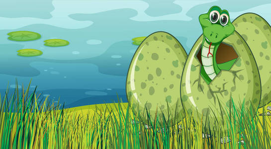 蛇窝蛋图未开发的蛇蛋滑稽的蛇婴孩在残破的蛋壳三