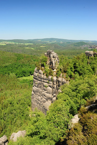 砂岩岩石在树林里