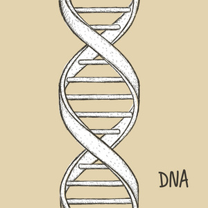dna 符号.dna 螺旋符号.基因图标照片
