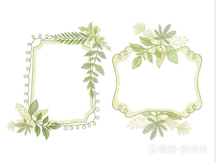手画的涂鸦框架与绿色的植物叶子