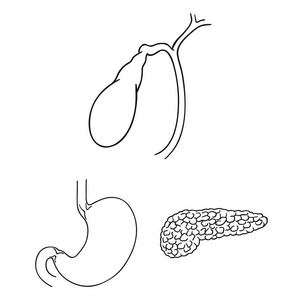 人体器官轮廓图标在集合中用于设计。解剖学和内脏媒介符号股票网页插图