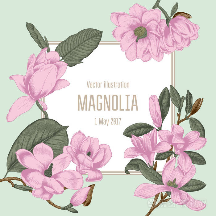 玉兰花.鲜花.开花的树.春天.矢量老式明信片.与植物的插图.植物学