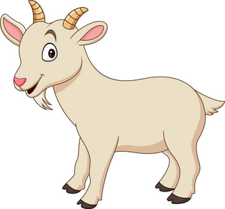 融化了的山羊图片