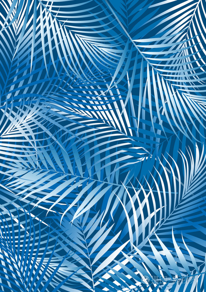 热带的蓝色棕榈树叶在白色和蓝色
