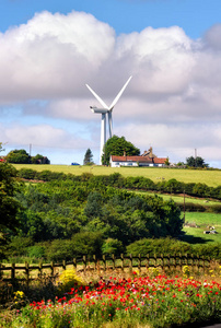 在英格兰东北部的一个典型的风车和花朵的风景视图