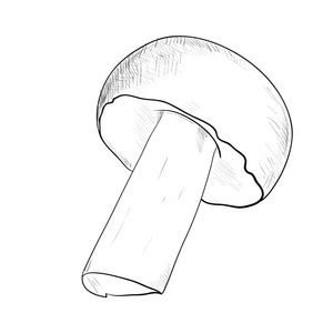 草绘的秋天蘑菇