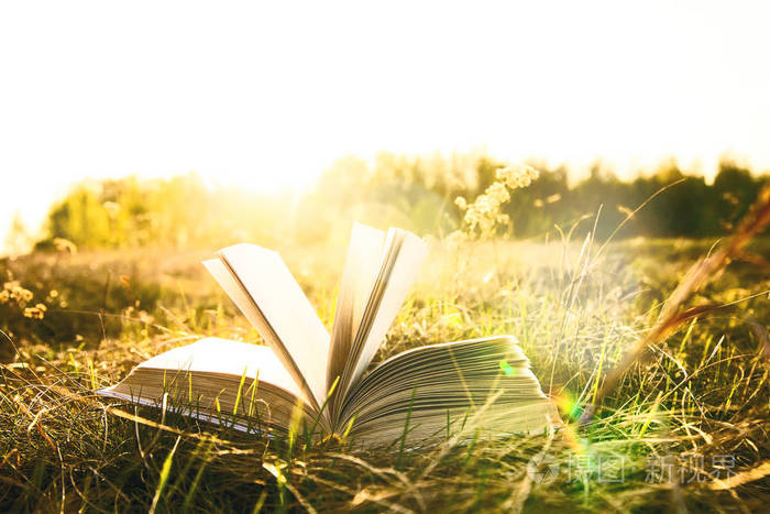 在秋天的夕阳下, 在日落的地平线上打开书本 o