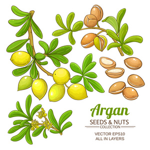 argan 分支向量集