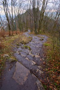 雨天穿越高山公园的石路景观图片