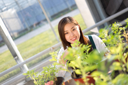 亚洲女子工程在绿色的田野