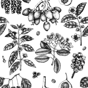 手绘和辛辣植物手工绘制无缝模式, 矢量插图