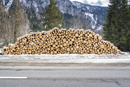 圆形堆积的木桩被雪覆盖着沥青路面背后