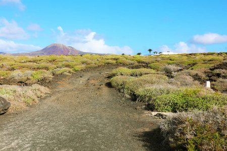 路径与令人惊叹的风景与火山口火山 La 日冕在背景上, 兰萨罗特, 加那利群岛