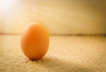 新鲜的农场鸡鸡蛋与阳光铺着地毯的地板上