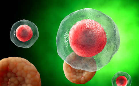 病毒。Bacteria.Viruses 在被传染的有机体，病毒性疾病流行。3d 渲染