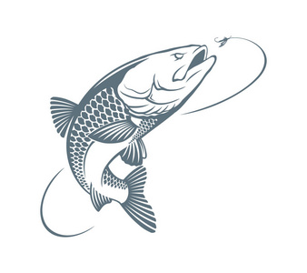 掠食性鱼类的诱饵图片-掠食性鱼类的诱饵素材-掠食性鱼类的诱饵插画