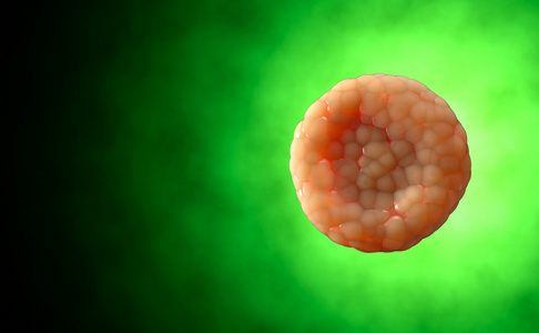 病毒。Bacteria.Viruses 在被传染的有机体，病毒性疾病流行。3d 渲染