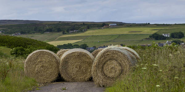 苏格兰高地的农田里的干草包