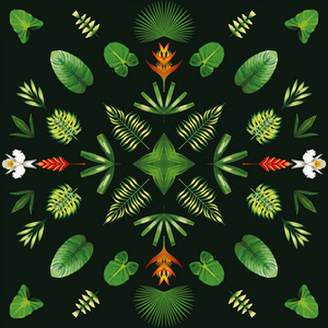 对称几何热带花卉和叶子暗绿色黑色孤立在白色背景上的肉质植物与柑橘