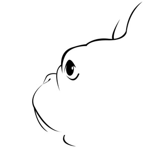 法国斗牛犬肖像图片-法国斗牛犬肖像素材-法国斗牛犬肖像插画-摄图新