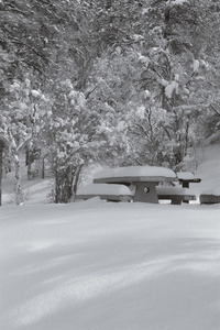 视图的野餐桌子和长板凳在公园里覆盖着雪
