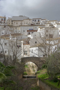 白色村庄的加的斯省 Setenil de las 酒厂