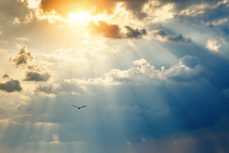 美丽的天空.美丽火红的橘黄色的夕阳与海面乌云照片