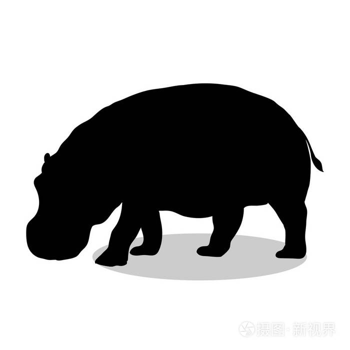 河马哺乳动物黑色剪影动物