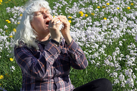 一个年长的女人有花粉热。花粉热始于春季。一个女人在草地上打喷嚏