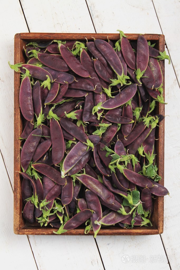 新鲜的紫色嫩豌豆