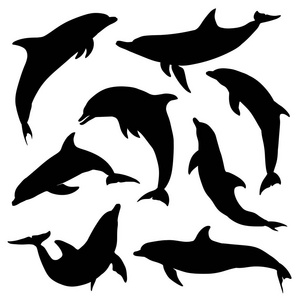 海豚剪影图片