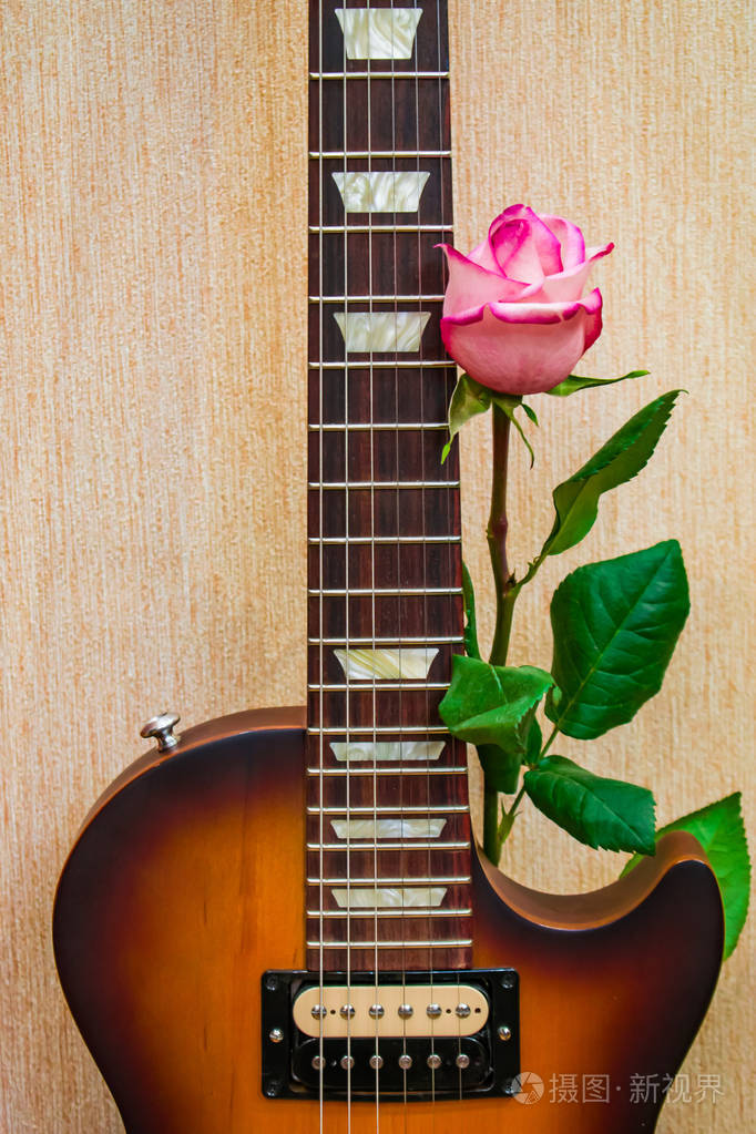 声卡和指板电吉他与粉红色的玫瑰花的一部分