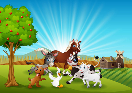 跟动物一起玩耍图片