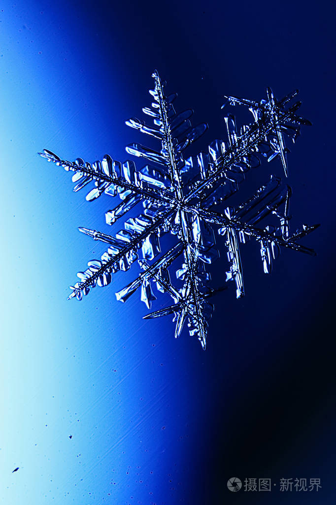 蓝色背景上的雪花