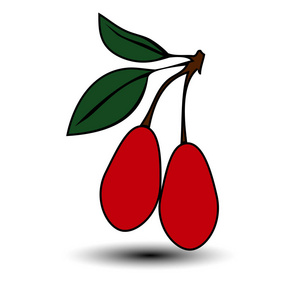 枸杞叶图片-枸杞叶素材-枸杞叶插画-摄图新视界