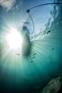 大海船之路下图片