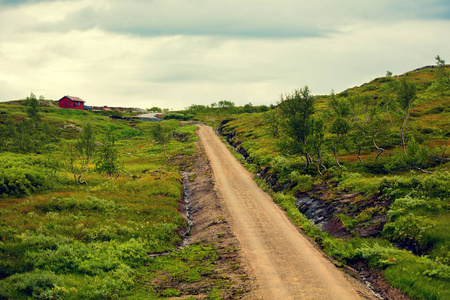 泥土路在田野里。挪威的美丽自然