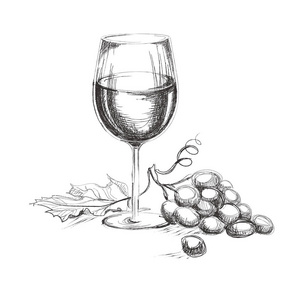 葡萄与葡萄酒杯。手拉酒概念