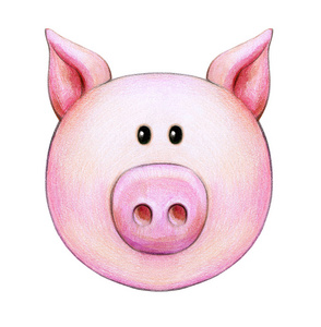 白色背景下的小猪头被隔离照片