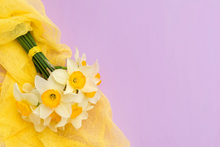 黄色纺织品装饰的水仙花花束在紫罗兰色柔和的背景与拷贝空间