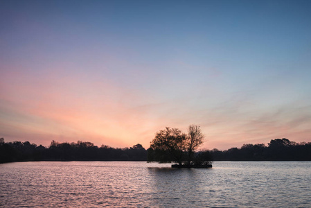 美丽充满活力的春天日出，在平静的湖水中英语计数