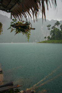 在泰国 Chieou 档口湖雨景