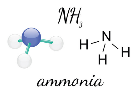 nh3 氨分子照片