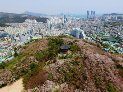 Urongsan 山公园樱花泉, 釜山, 韩国, 亚洲