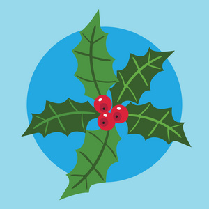 冬青树矢量卡图片